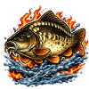 Mirror Carp