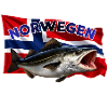 Norway Coalfish Fishing - Pollock Fishing