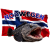Steinbeisser Angeln Norwegen