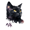 Chat galactique dans la nuit
