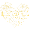Here and Now