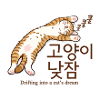 Cat Dream: Sleeping Cat from Seoul