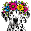Dalmatian with flower wreath