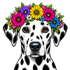 Dalmatian with Flower Crown