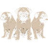 Three Pugs Retro Trio