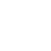 Wayfinder - Viking Compass