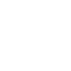 The Black Raven