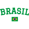 Drapeau du Brésil Conception Vert
