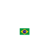 Brazil Flag Design White