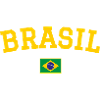 Drapeau du Brésil jaune