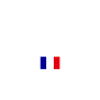 France Flag Design White