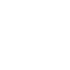 The Team