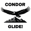 Anden-Kondor-Gleitflug Schwarzer Condor