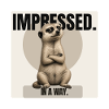 Impressed. – Sarcastic Meerkat Design