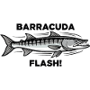 Barracuda Flash Prédateur Mer Barracuda
