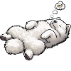 Hundemüde Samojede Samojedenbesitzer Samojedenhund