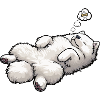 Samoyed Samoyed Owner Samoyed Lovers