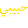 Habibi Gold Arabic Script Tee