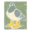 Dove with yellow boots