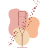 Sparkling wine lover Sparkling Aura