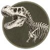 Dinosaure