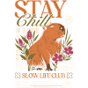 Stay Chill Capybara Motif