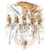 Veterans Day for Democrats