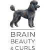 Poodle Low-Poly Art - Brain, beauty & curls