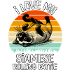 Funny Siamese Cat