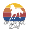 Appaloosa Appaloosa