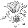 Vrille de fleur