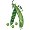 Green pea pod and peas illustration