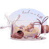 Bouteille avec sable et coquillages illustration