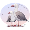 Seagulls and starfish illustration with inscription