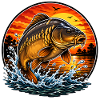 Sunset Mirror Carp Jump