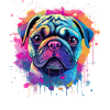 Vibrant Pug Splash Portrait