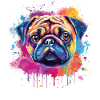 Lebendiges Mops-Splash-Porträt