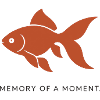 MEMORY OF A MOMENT