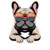 French Bulldog with Retro Sunglasses