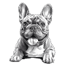 French Bulldog Funny Smiley Bully Dog