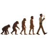 Evolutionsreise: Von Affe zu kaffeetrinkenden Mann
