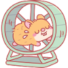 Cute Hamster Running on Wheel