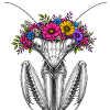 Wreath of flowers Mantispin