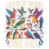 Different Wings One Sky Vogel