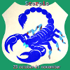 scorpion