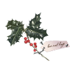 Sprig Christmas Holly with red berries