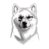 Rauque
