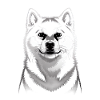 Rauque