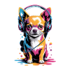 Casques Chihuahua