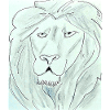 Pure Lion Head Drawing
